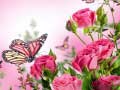 游戏Butterflies Puzzle
