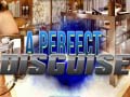 游戏A Perfect Disguise