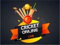 游戏Cricket Online