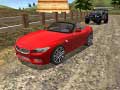 游戏Real Stunts Drift Car Driving 3d