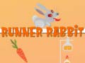 游戏Runner Rabbit