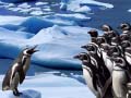 游戏Penguins Slide