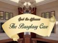 游戏Spot The Differences The Burglary Case