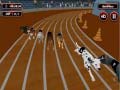 游戏Crazyl Dog Racing Fever