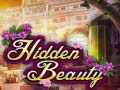 游戏Hidden Beauty