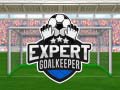 游戏Expert Goalkeeper