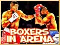 游戏Boxers in Arena