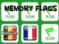 游戏Memory Flags