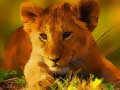 游戏Wild Baby Animals Jigsaw