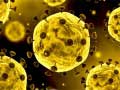 游戏Coronavirus Slide