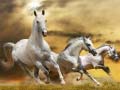 游戏Running Horse Slide