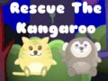 游戏Rescue the kangaroo