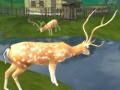 游戏Deer Hunting Sniper Shooting