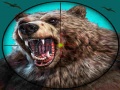 游戏Wild Bear Hunting