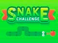 游戏Snake Challenge