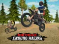 游戏Dirt Bike Enduro Racing