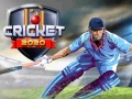 游戏Cricket 2020