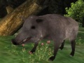 游戏Wild boar Hunting