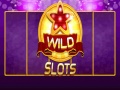 游戏Wild Slot