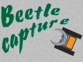 游戏Beetle Capture