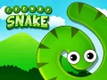 游戏Frenzy Snake