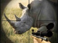 游戏Wild Rhino Hunter