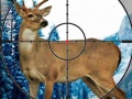 游戏Sniper Stag Hunter