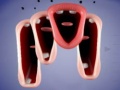 游戏Crazy Lips