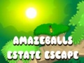 游戏Amazeballs Estate Escape