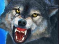 游戏Sniper Wolf Hunter