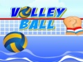 游戏Volley ball