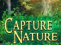 游戏Capture Nature