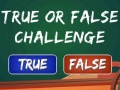 游戏 True Or False Challenge