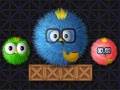 游戏Where Is My Ruffled Bird