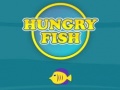 游戏Hungry Fish