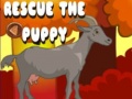 游戏Rescue The Puppy