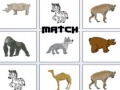 游戏Match