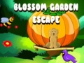 游戏Blossom Garden Escape