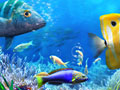 游戏Let's Fish