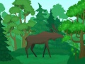 游戏Wild Animals Coloring