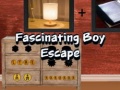 游戏Fascinating Boy Escape