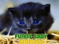 游戏Funny Baby Animals
