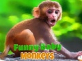 游戏Funny Baby Monkey