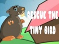 游戏Rescue The Tiny Bird