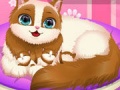 游戏Cute Kitty Pregnant