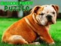 游戏Bulldog Puppy Puzzle