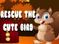 游戏Rescue The Cute Bird