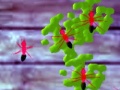 游戏Smash Ants