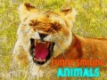 游戏Funny Smiling Animals