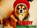 游戏Funny Christmas Dogs